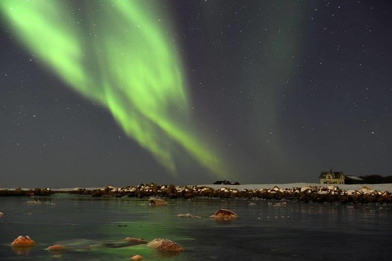 Borghildstua Feriehus Melbu Стая снимка